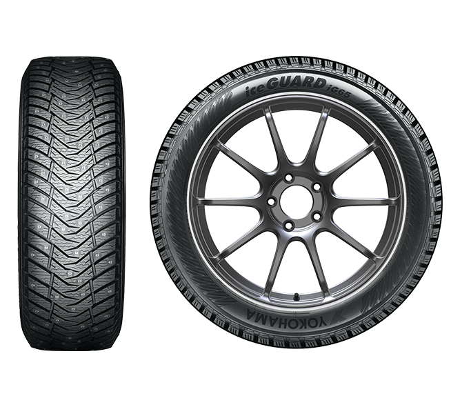 Neumáticos iceGUARD iG65